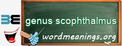 WordMeaning blackboard for genus scophthalmus